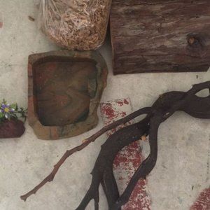 Reptile Habitat Tank Accessories